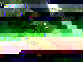 1356031649950.jpg