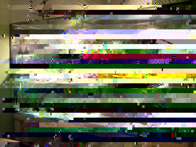 image.jpg
