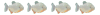Timide Timide